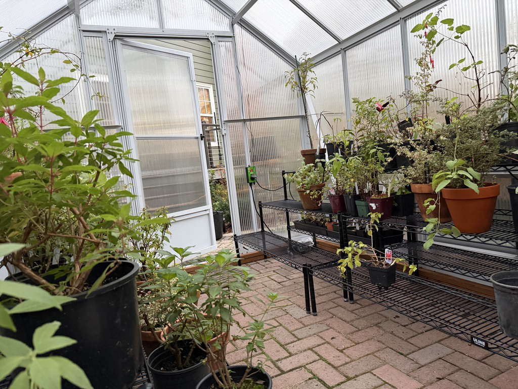Greenhouse Staging 13